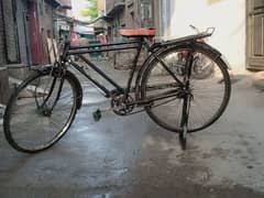 Bicycle Sohrab