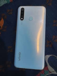 vivo