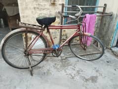 Cycle for sale