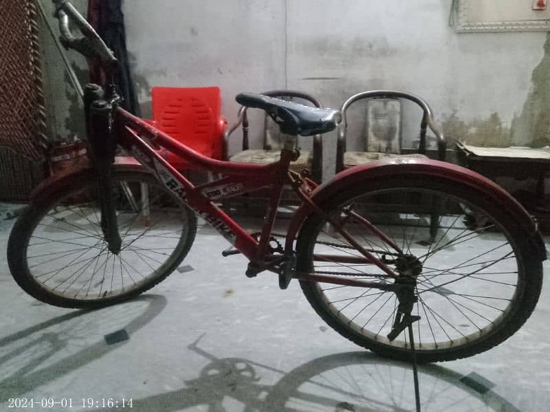 Red Bicycle 0