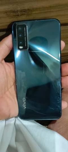 vivo