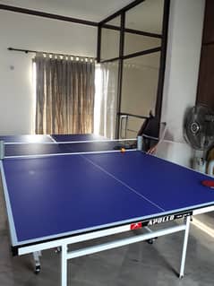 Appolo imported table tennis