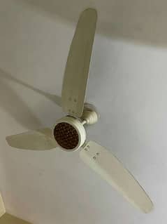 fan for sale