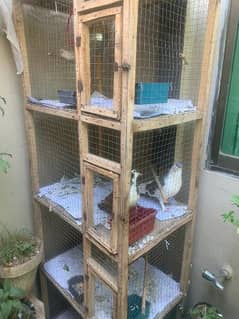 cage for sale