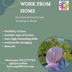 work from home opportunity