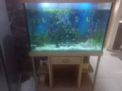 urgent sell planted aquarium