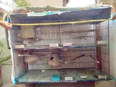 Cage for sale 8 portions | 12 Portion