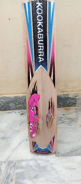 GREATEST HARD BALL CRICKET BAT AVAILABLE FOR SALE 3