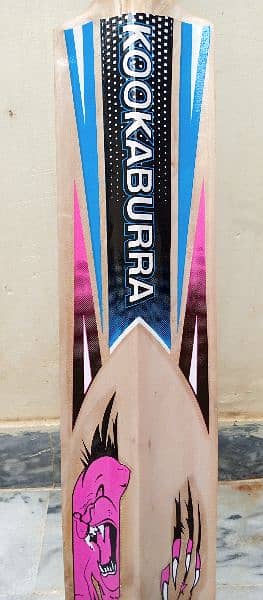 GREATEST HARD BALL CRICKET BAT AVAILABLE FOR SALE 4