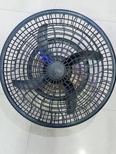 Fan