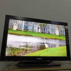 Sony Bravia 32 Inch LCD HD