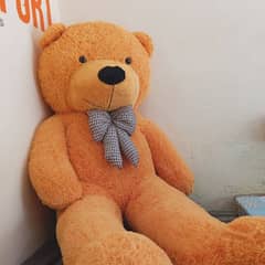 Teddy