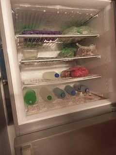 pel company refrigerator 10/10 condition