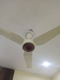 tamoor fan