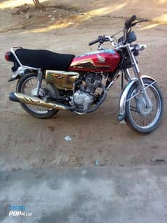 Honda CG 125 2024 gold edition red self start