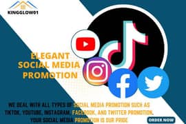 ALL TYPES OF SOCIAL MEDIA SERVICE AVAILABLE IN CHEAP PRICE