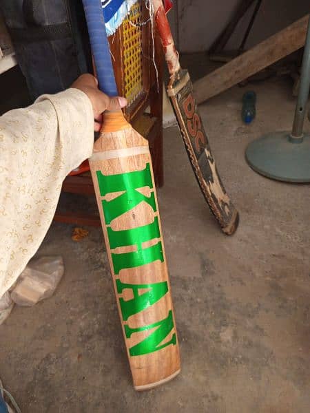 Cricket Bat 1