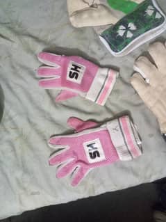 Hard ball cricket gloves + kipping gloves