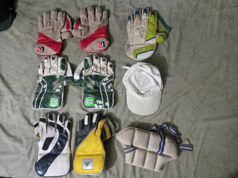 Hard ball cricket gloves + kipping gloves 1