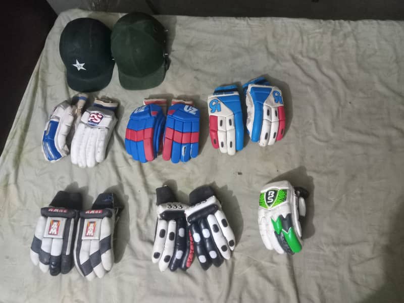 Hard ball cricket gloves + kipping gloves 2