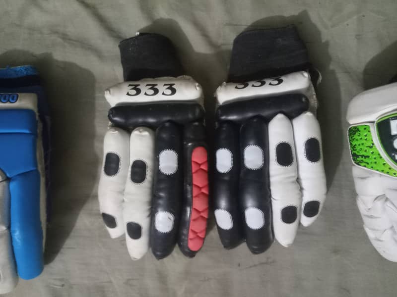 Hard ball cricket gloves + kipping gloves 4