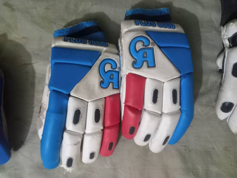 Hard ball cricket gloves + kipping gloves 5