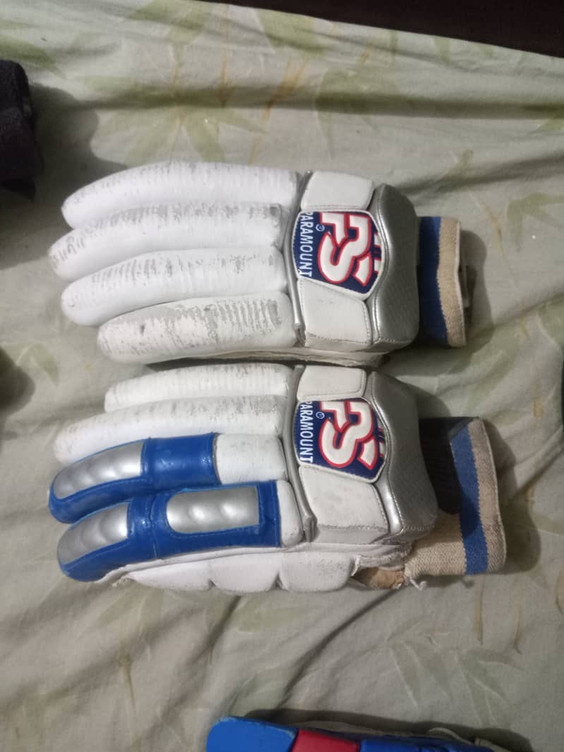 Hard ball cricket gloves + kipping gloves 7