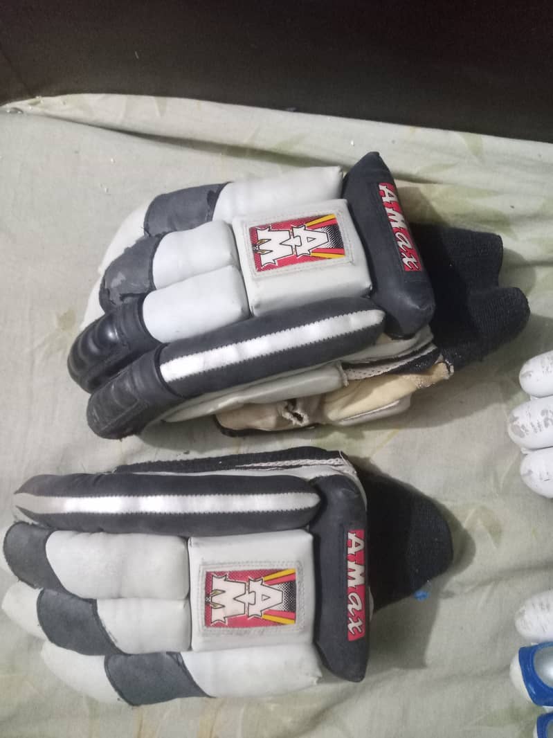 Hard ball cricket gloves + kipping gloves 8