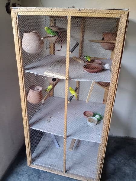 Birds Cage 1