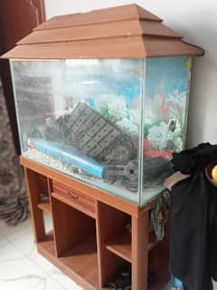 aquarium for sale