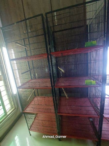 birds used cages and accessories 4