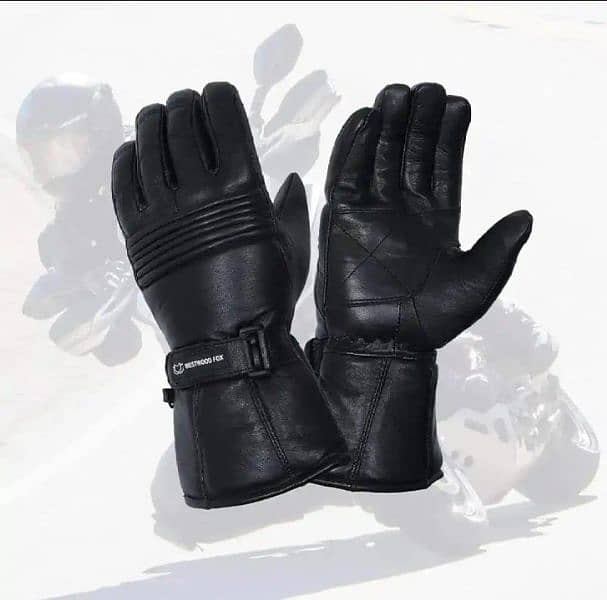 leather Gloves 2