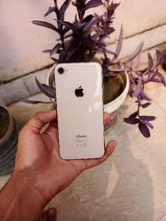 iphone 8 PTA approved New condition 10/9.5 All ok Read description