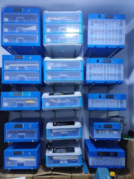 Incubator Brooder Wholesale Dealers 8