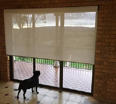 window blind zebra blinds roller blinds & all kinds of window blinds 7