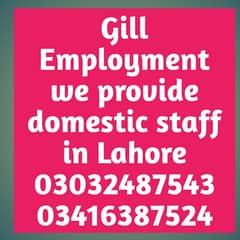 Gill employment