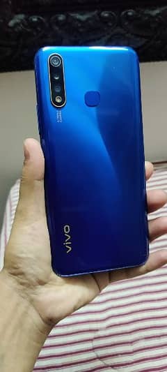 Vivo