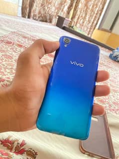 vivo