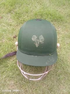 Cricket Helmet