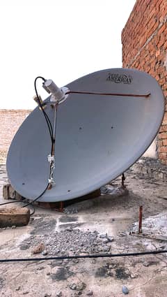 Dish