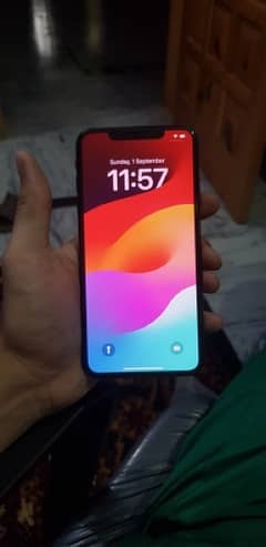 iPhone X max pta approved