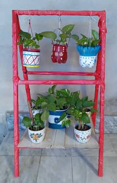 DIY decorations of pots and plants. .