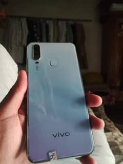 vivo