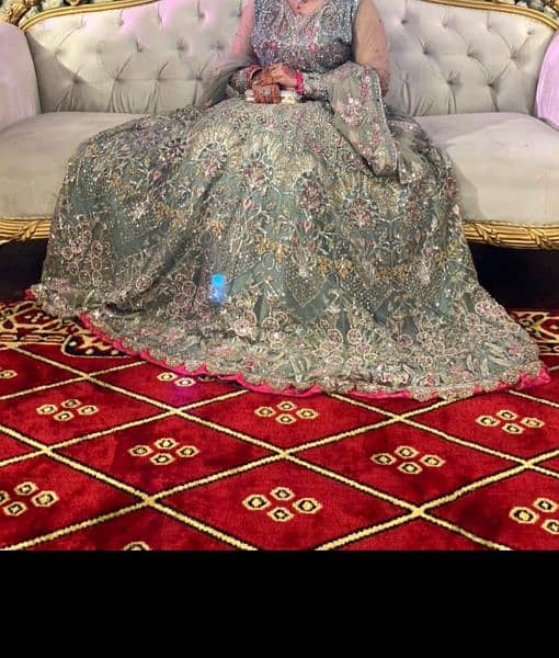 bridle walima maxi 2