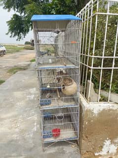 two cages for finches/ parrots/ birds