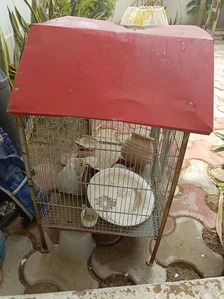 two cages for finches/ parrots/ birds 3