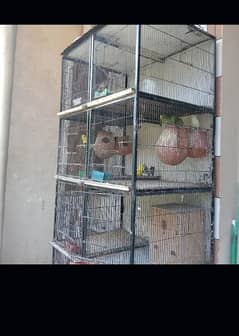 cage for sale 6 box and 2