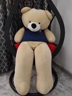 5ft Teddy bear