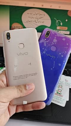 VIVO