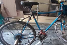 Genuine Phoenix Bicycle - Lightly Used, Excellent Condition